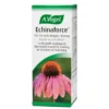 Echinaforce 100ml