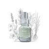 Forest 25ml