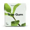 Gum Mint 21g
