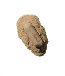 Immunity Blend 60 kapslar