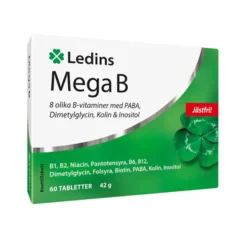 Mega B 60 tabletter