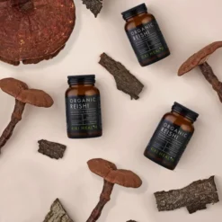 Organic Reishi Extract Mushroom 60 kapslar