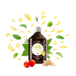 Vita Biosa Ingefära 500ml