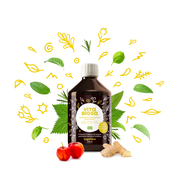 Vita Biosa Ingefära 500ml